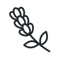 Dermatologist-Tested